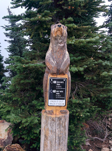 High Note Trail Bear Sign 