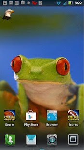 Animals in Nature Live WP Screenshots 2