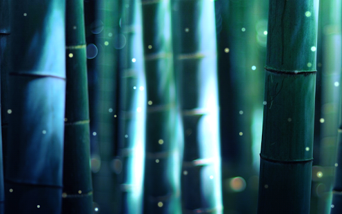 【免費娛樂App】Fireflies of bamboo forest-APP點子