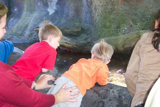 [Sea Aquarium April 2007 (5)[3].jpg]