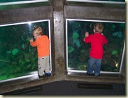 Sea Aquarium April 2007 (15)