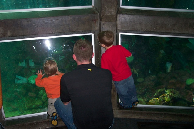 [Sea Aquarium April 2007 (16)[4].jpg]