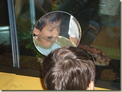 Bellvue Childrens