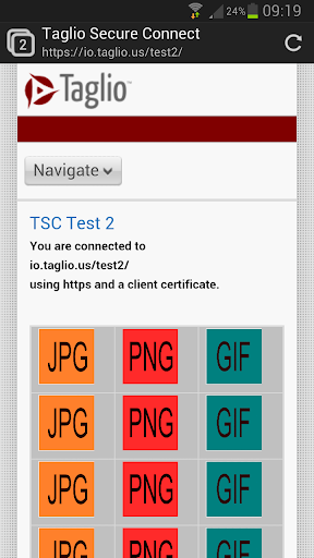 Taglio Secure Browser - Beta