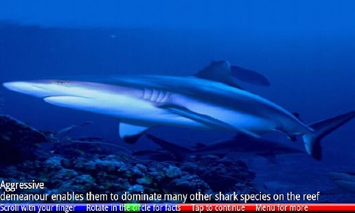 Fish of the Coral Reef 1 FREE - náhled