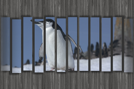 Free Instant Video Slideshow Free APK for Android