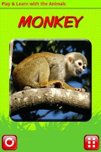 How to download Play & Learn: Animals 2.0.3 unlimited apk for laptop