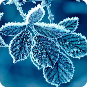Winter Wallpapers.apk 1.0.1