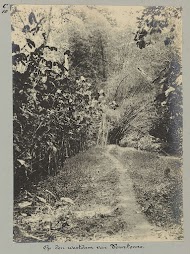 Op den westdam van Tourtonne