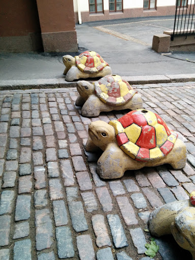 You Shall Not Pass Turtles