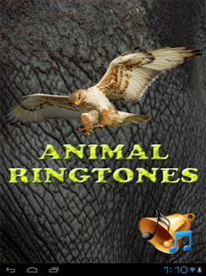 Animal Ringtones and Wallpaper