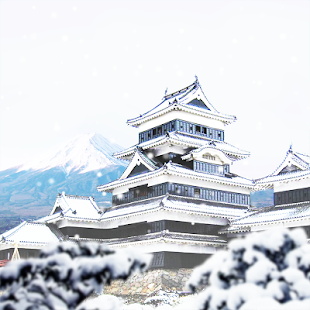 Fuji Castle And Winter