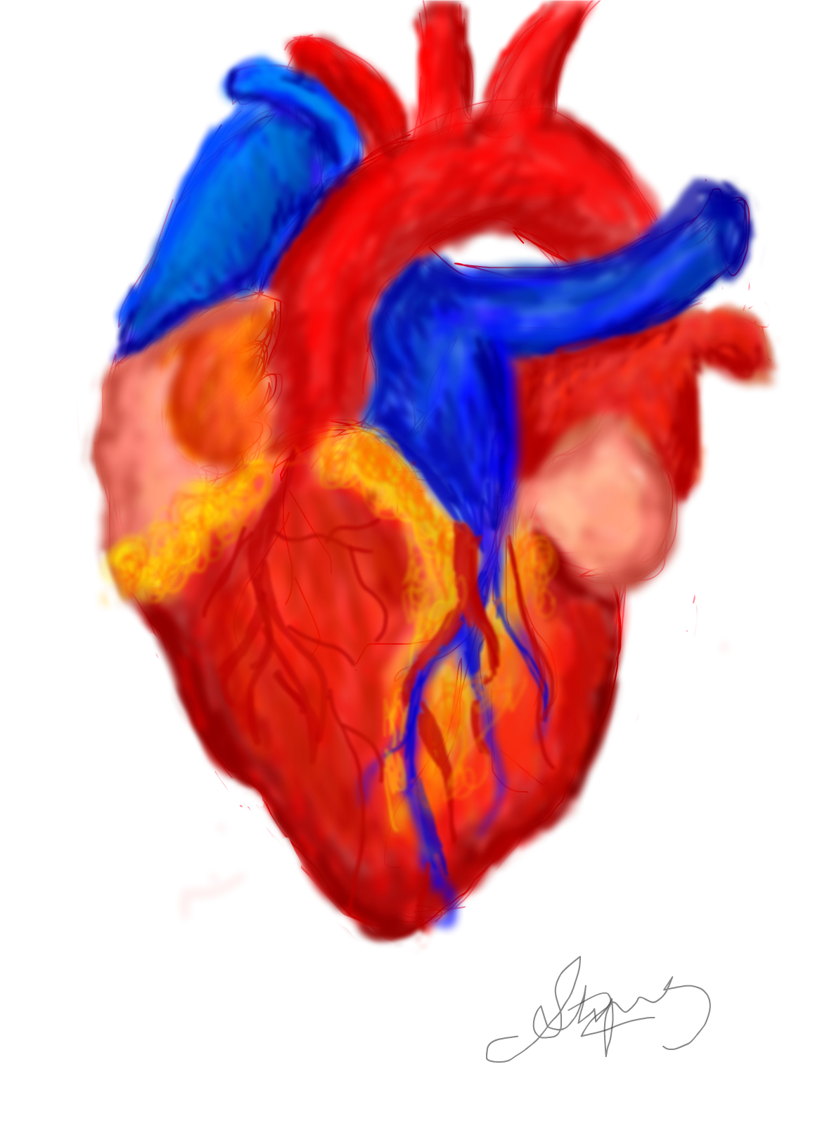 human heart drawings with color