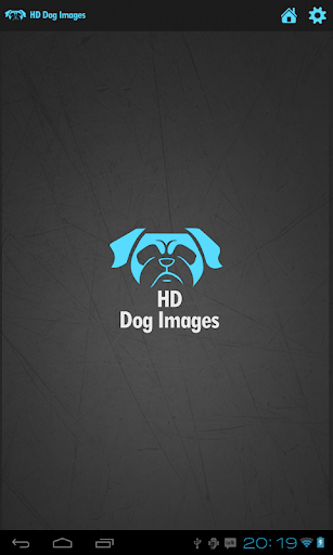 HD Dog Images