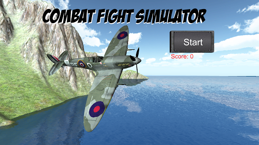 Combat Flight Simulator WW2
