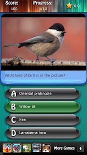 Bird Species Quiz HD Screenshots 13