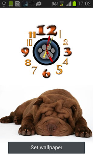 Shar Pei Clock Live Wallpaper