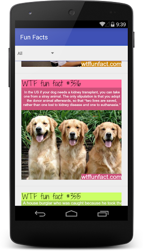 WTF Fun Facts