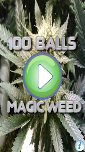 100 Balls Magic Weed Marijuana