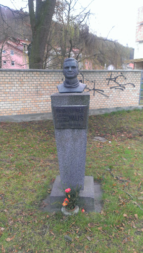 Pomnik MUDr. Hynka Vališe