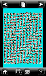 Optical Illusions by Kaufcom Games Apps Widgets poster 1