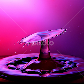 Umbrella Drop by Nirmal Kumar - Abstract Water Drops & Splashes