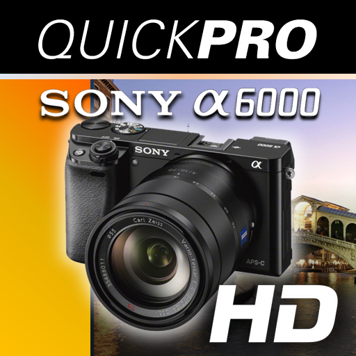 Sony a6000 QuickPro LOGO-APP點子