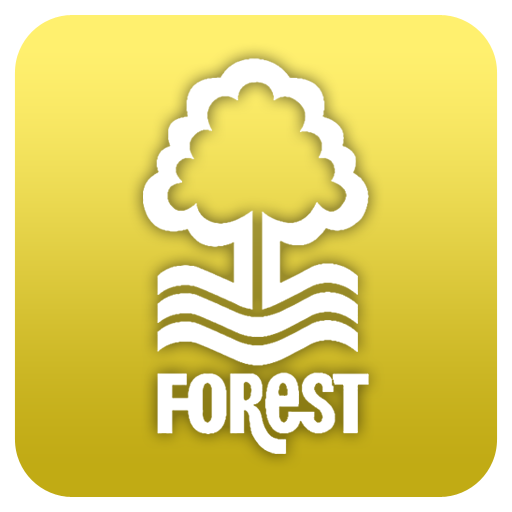 Forest Fan Chants