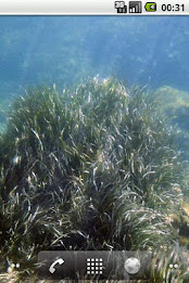 Underwater LWP Free poster 4