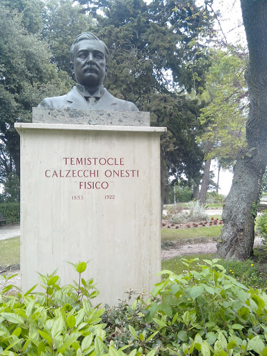 Busto Temistocle Calzecchi Onesti