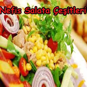 Nefis Salatalar.apk 1.0