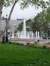 Sakhalin Fountain