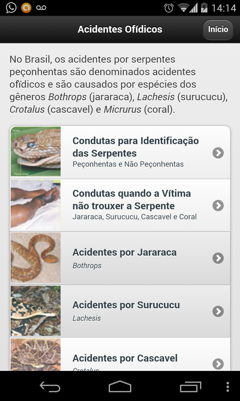 Acidentes: animais peçonhentos Screen 2