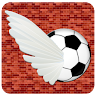 Soccer Bird Game icon