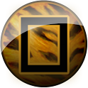 Safari Theme logo