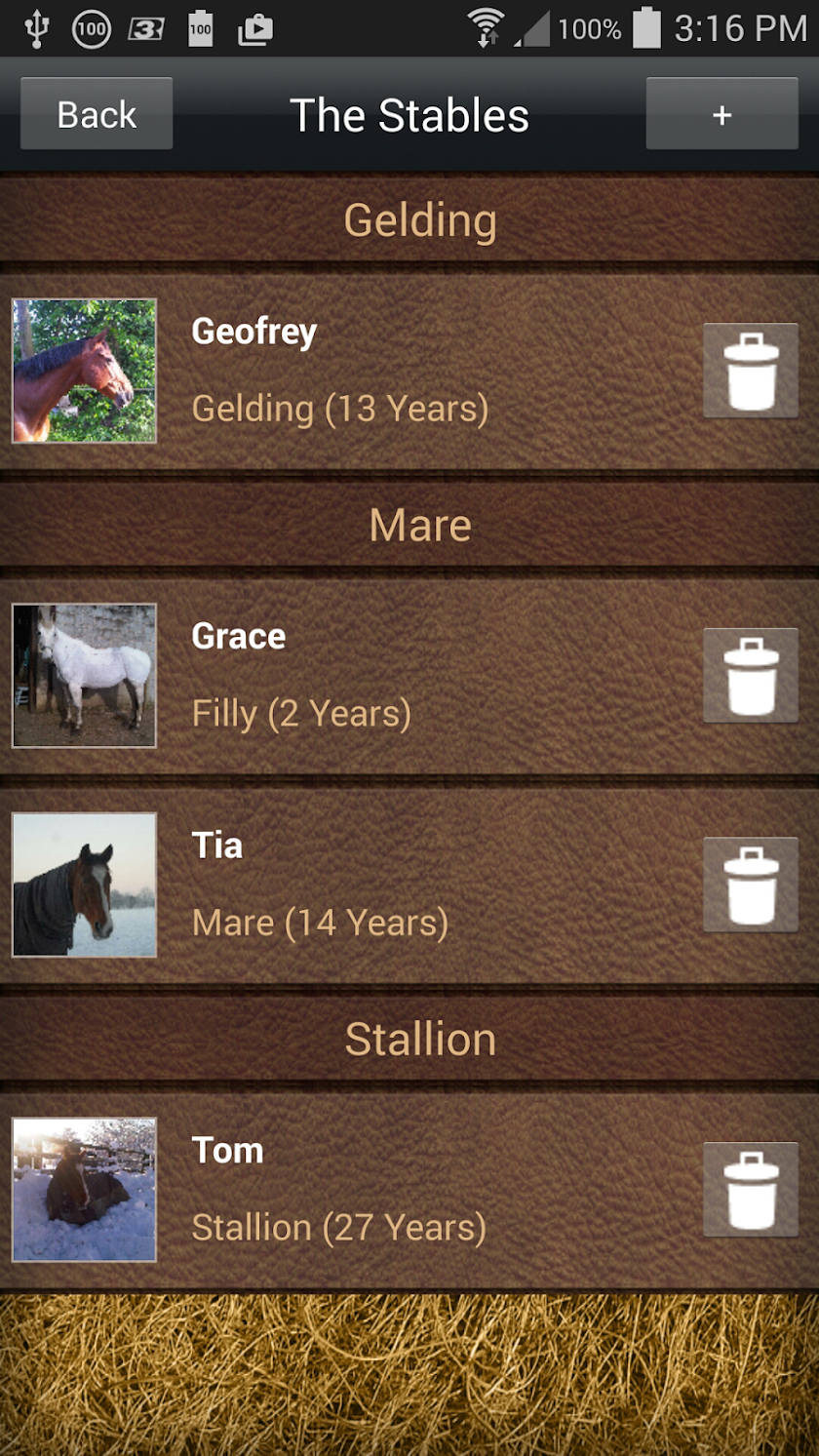 Horse Box Screen 2