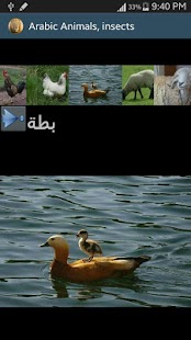 How to get Arabic Picture animals lastet apk for pc