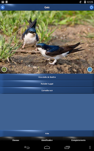 免費下載書籍APP|Oiseau Id: Oiseaux de France app開箱文|APP開箱王