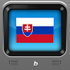 Slovakia TV мод APK icon
