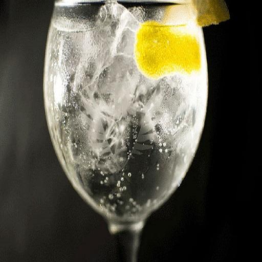 GIN TONIC MUNDO