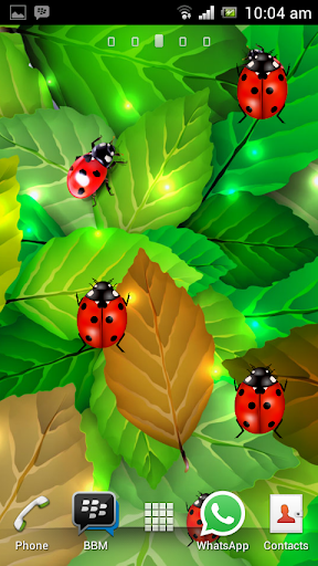 Colorful Ladybug Garden LWP