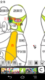 Sum acupuncture-type soles reflection District (provisional) poster 9