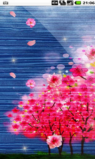 Free Romantic Day Sakura HD