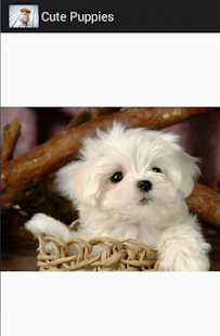 cute puppies Screenshots 5