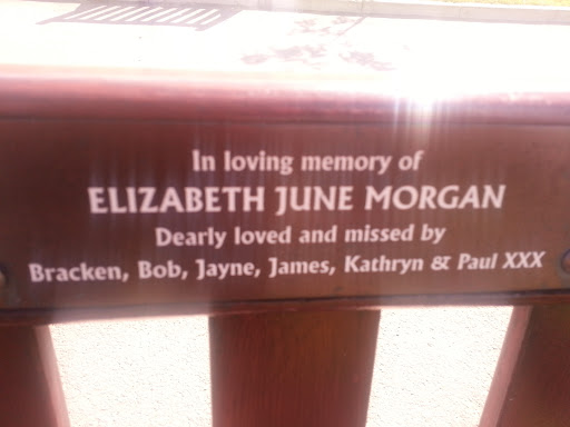 Morgan Memorial