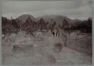 Uitgegraven versteningen langs de weg