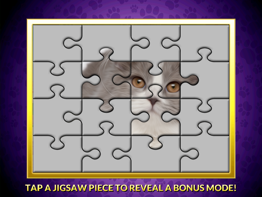 Casino Cash Cats - Slots PAID Screen 2