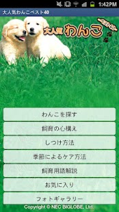 How to install 大人気わんこベスト４０ patch 1.3.0 apk for laptop