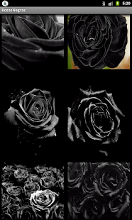 Free Rosas Negras APK for Android