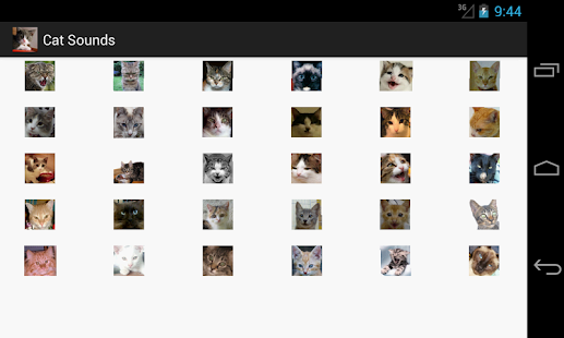 How to download Cat sounds lastet apk for android